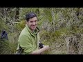 fiordland kiwi diaries episode 3 kiwi monitoring in remote new zealand wilderness