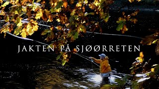 Sjøørretfiske - Jakten På Sjøørreten \