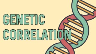 Genetic Correlation Using Python