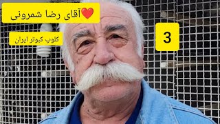 ❤️آبان  ماه  ۱۴۰۲ کلیپ 3 از آقای رضا فهیم نژاد (رضا شمرونی)  از تهران  iranian high flyers pigeon