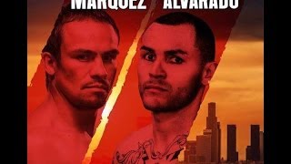 Juan Manuel Marquez vs Mike Alvarado Predictions and Highlights