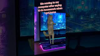 How Did I End Up Gaming Instead Pcgaming