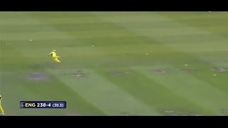 Top Catches - Glenn Maxwell's incredible catches #Shorts