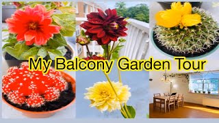 🌿எங்கள் வீட்டு பால்கனி தோட்டம் | My Balcony Garden Tour 🌿| In Tamil |Jumana’s Cooking