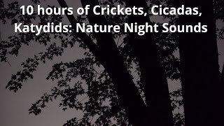 Nature Night Sounds 10 Hours of Crickets Cicadas Katydids Sleep Study Relax Nature Video