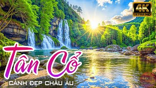 Ăn Tết bên cồn 2025 mở to TÂN CỔ CẢI LƯƠNG hơi dài 1000 chữ hay nhất - Ca Cổ Cảnh Đẹp Châu Âu 4K