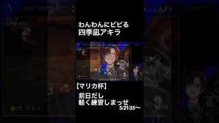 突発ヴォルタマリカでわんわんにビビる四季凪アキラ【四季凪アキラ/風楽奏斗/渡会雲雀/セラフ・ダズルガーデン/にじさんじ/VOLTACTION】 #にじさんじ #四季凪アキラ #voltaction