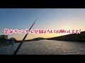 【太刀魚ウキ釣り】初心者が太刀魚釣りに挑戦！和歌山県、田ノ浦漁港にて