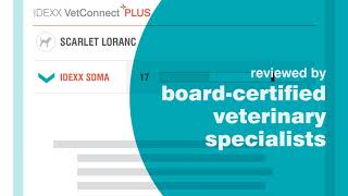 VetConnect Plus - Interpreting results