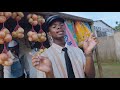 Slwane Somhlola by Dj Cymphonic (feat.Dolphin Dx, Leverage_A1, Lowfeye, Lacabra) Visualiser