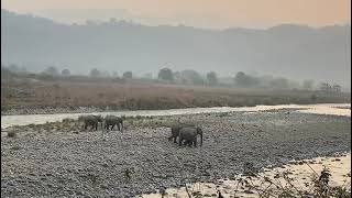 TUSKAR IN THE RIVER