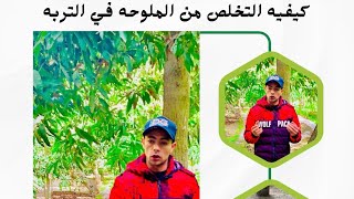 من أسباب الملوحة في التربة إلى كيفية التخلص منها: أفضل الحلول العلمية والعملية‼️ #اشجار #سماد #ترند