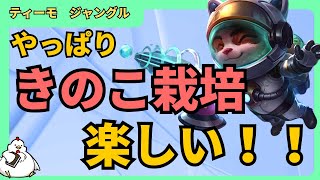 [[ティーモJG]やっぱり、きのこ栽培楽しいな・・・！ナーフされるらしいけどそこはしらん　ジャングル　ティーモvsリリア[League of Legends]