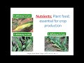 Nutrient Cycles Part 1: Nitrogen and Phosphorus Fundamentals of Nutrient Management 2022