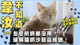 韋汝不知道EP10｜貓奴必學！解決你的家具夢魘的招數！ @catrainershan ​