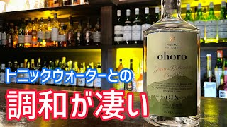 新蒸留所のニセコ蒸留所が出したジンの調和が凄い！