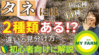 【種の基本】固定種・F1種って何？野菜のタネについてもっと知ろう│かっちゃんの有機栽培ｺｰｻﾞ