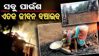 ସବୁ ପାଉଁଶ ଏତକ ଜୀବନ ବଞ୍ଚାଇବ  | Odisha Reporter