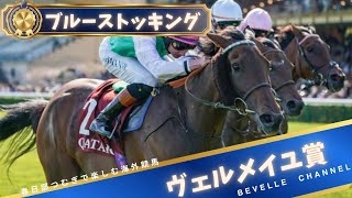 【ヴェルメイユ賞】ブルーストッキング次は凱旋門賞│春日部つむぎで楽しむ海外競馬