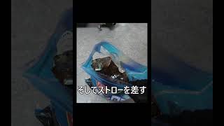 【チャレンジ】売ってる氷にコーラぶち込んで飲んでみた！I tried pouring cola into ice for sale and drinking it#shorts