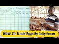 How To Track Your Egg Record || Using Standard Chart. By Sammy (Kenbeba Manager)