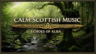 Whispers of the Ancient Forest|Mystical Celtic Music for Deep Reverie