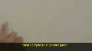RSS in plain english (subtitulado en español)