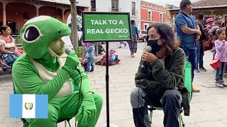 Being a Gecko in Guatemala