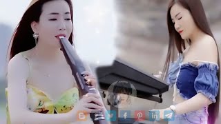 电吹管音质音乐 【超級好聽】车载必备音乐电子琴 - 旋律优,旋律优美动听送给你 - 旋律如行云流水 - 倾听最美纯音乐 - 享受最佳生活 此曲震惊天下多情的人#中国音乐 #中国乐器 #音乐 #23