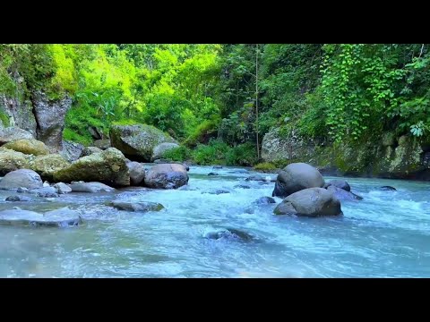 Mountain River Sounds For Sleep Relaxation Meditation Peaceful