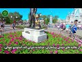 cartesabz معرفی ایالت فلوریدا کارت سبز