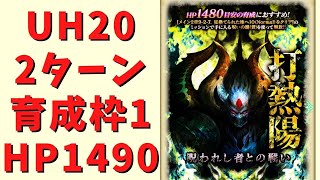 【ロマサガRS】呪われし者との戦い-打熱陽-(UH20)をアニマで2ターン・育成枠1で周回