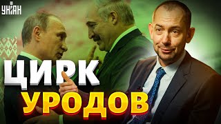Часть Беларуси отдают Украине? Цимбалюк раскрыл неожиданный план Лукашенко