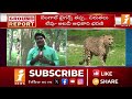 🔴operation chirutha చిరుత ఎక్కడ operation chirutha in lalacheruvu rajahmundry inews