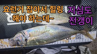 [전갱이 잡기ep.24]거제 통영 고성 전갱이 찾다 지쳐 힐링 하러왔습니다 ㅎ 큰놈이 있긴 있네요 루어낚시