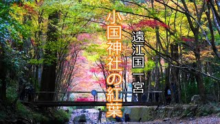 遠江国一宮・小国神社の紅葉