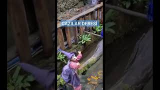 CAZILAR DERESİ TRABZON  #youtube #youtubeshorts #karadeniz #shorts