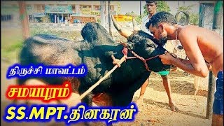 திருச்சி சமயபுரம் MPT தினகரன் காளை வேணாநல்லூர் ஜல்லிக்கட்டில்