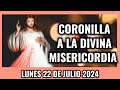 Coronilla a la Divina Misericordia de Hoy. Lunes 22 de Julio 2024 - Misericordia