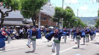 上總組 梅ノ辻競演場 第７１回よさこい祭り 2024 08