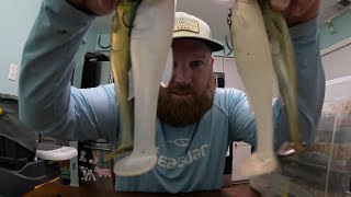 Magdraft HACK!! Never throw this bait again without doing THIS first! 💰👌🏻