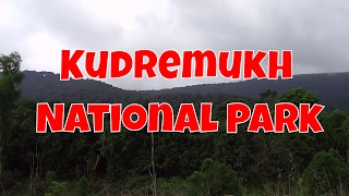 Kudremukh National Park - Vlog#4 | Mangalore to Kudremukh | BrinTechno