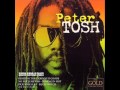 Peter Tosh- Johnny B. Goode