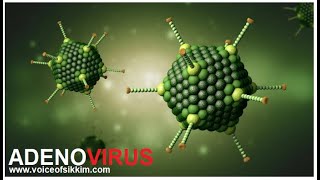 Adenovirus: About , Safety, Treatment and Precautions