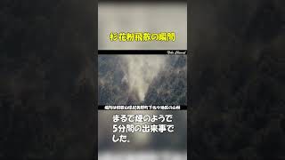 230220 杉花粉が飛散する瞬間、5分間の出来事！