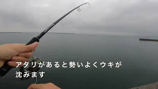 雨の中、初めての遠投カゴ釣り