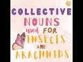 Collective Nouns Used for Insects and Arachnids