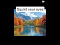 squint your eyes shorts roadto13k clips nature funny