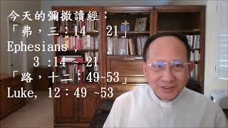 蘇神父| 雙數年_常年期第29週星期四彌撒讀經默想