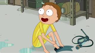 Rick and Morty season 3 episode 7 credit scene